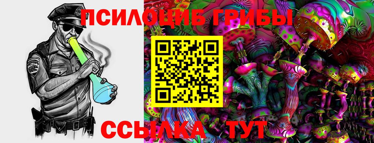 Галлюциногенные грибы Psilocybe Фролово