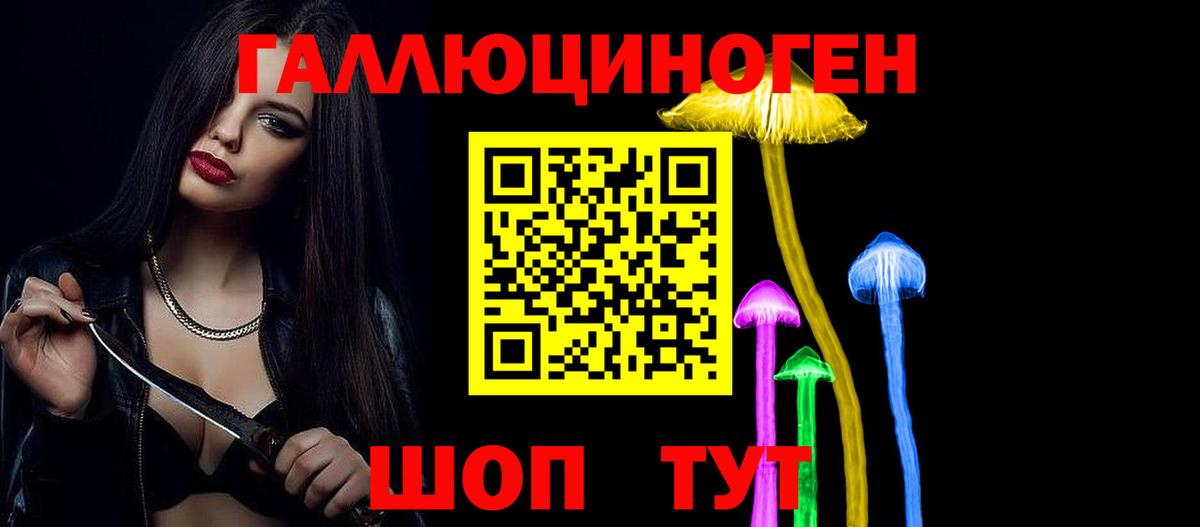 Фролово  Галлюциногенные грибы Psilocybine cubensis  Вход с VPN 